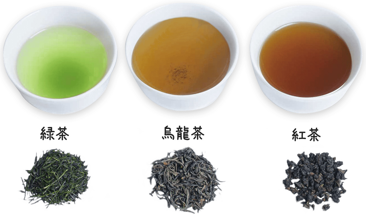 緑茶・烏龍茶・紅茶