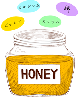 蜂蜜のイラスト