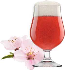 グラスに入ったビールと桜の写真