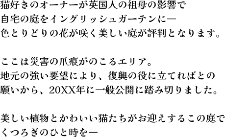 About_catch
