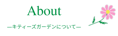 about_title