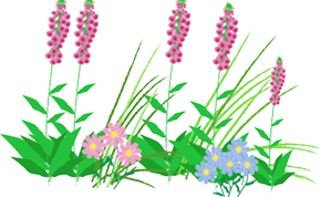 border_art