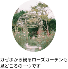gazebo