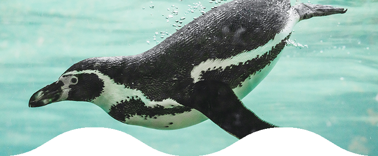 水族館イメージ写真