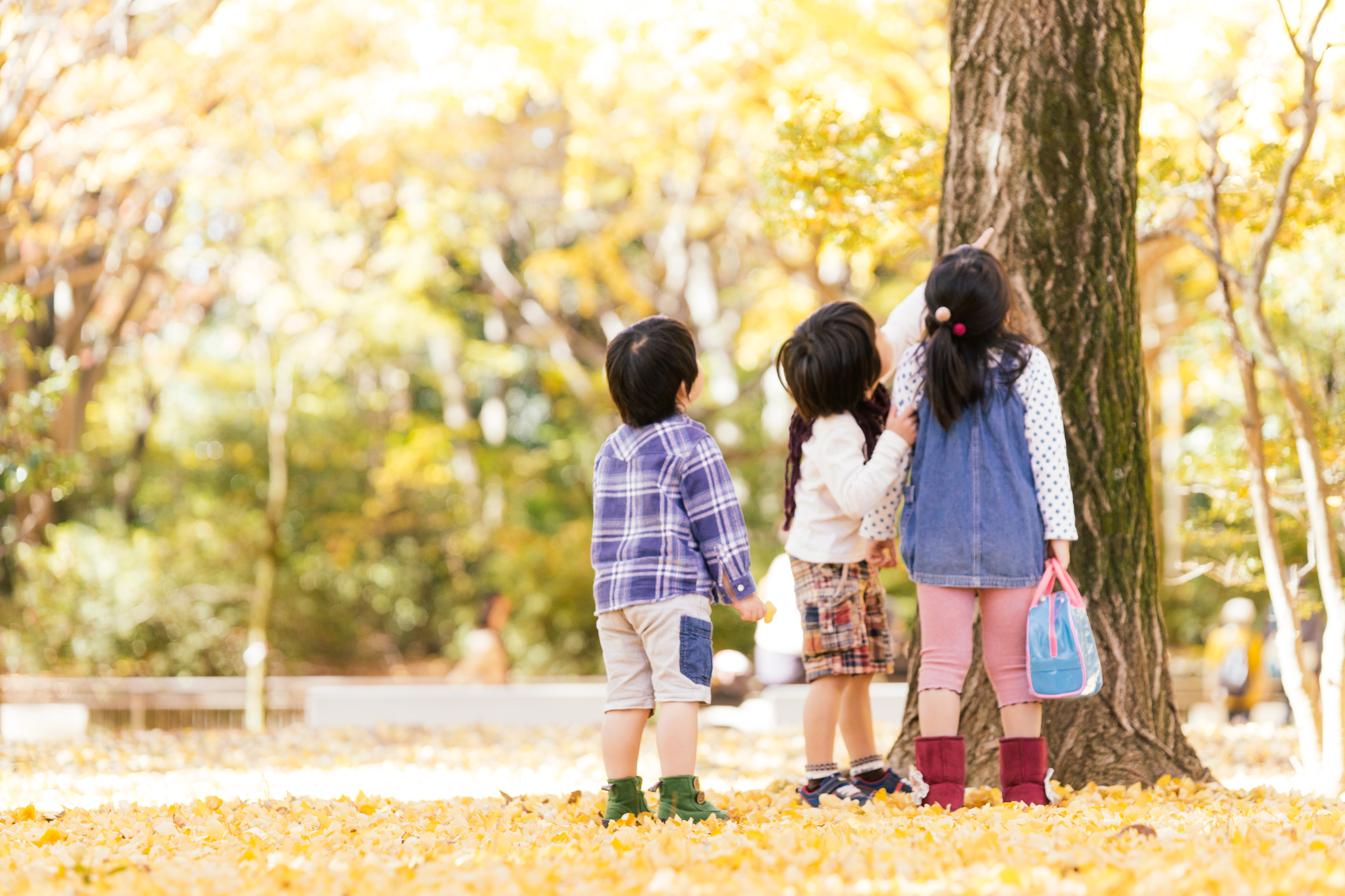 遊んでいる子どもの写真