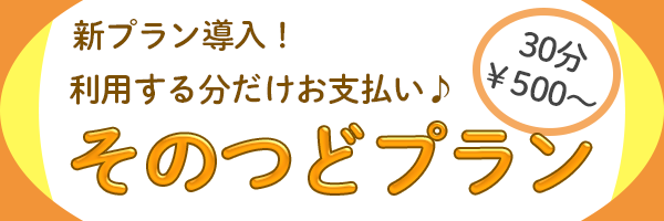 そのつどプラン紹介バナー