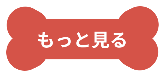 もっと見るボタン