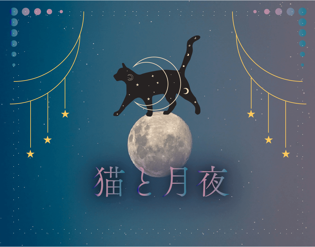 猫と月夜