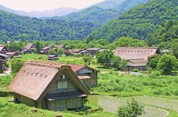 岐阜ツアー画像