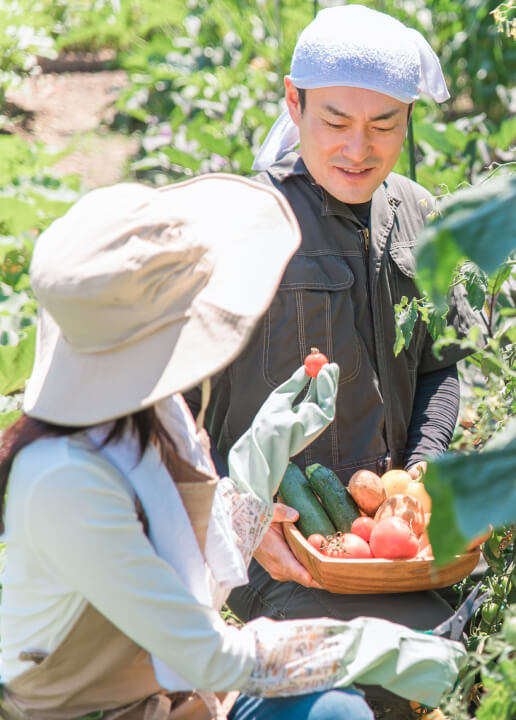 畑で野菜を収穫している写真