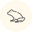 両生類のアイコン