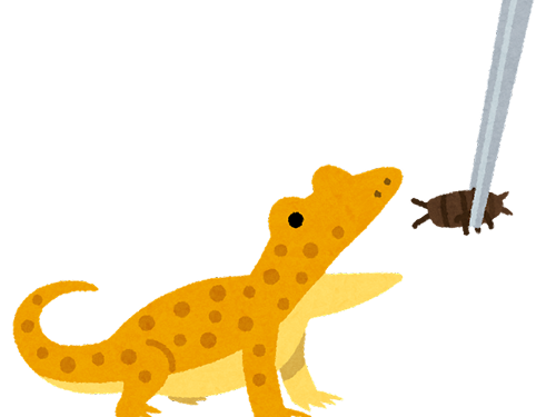 ヤモリパクパク