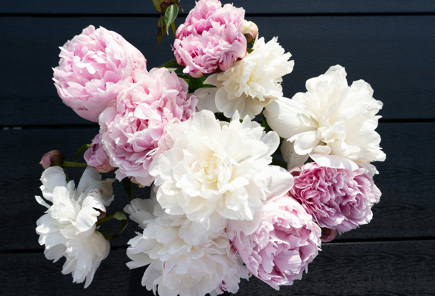 花のメインビジュアル