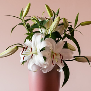 プレゼント用アレンジ