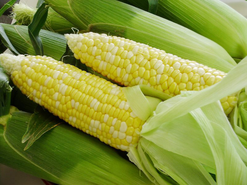 とうもろこし