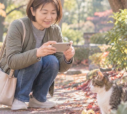 猫とスマホを触る女性