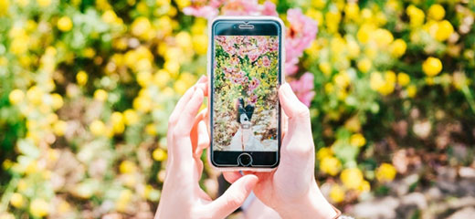 スマホ写真